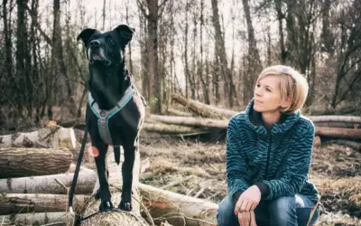 Ein Tierschutzhund zieht ein
