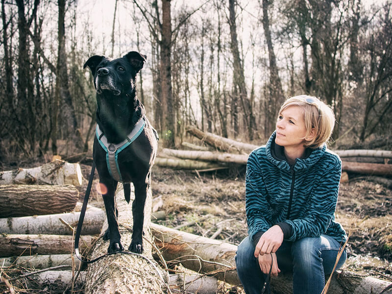 Ausdrucksverhalten verstehen Daniela Loibl, Zert. Hundetrainer