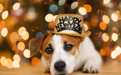Silvester: Trösten erlaubt?
