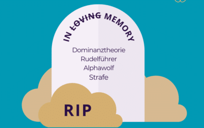 Hundeverhalten verstehen (wollen)