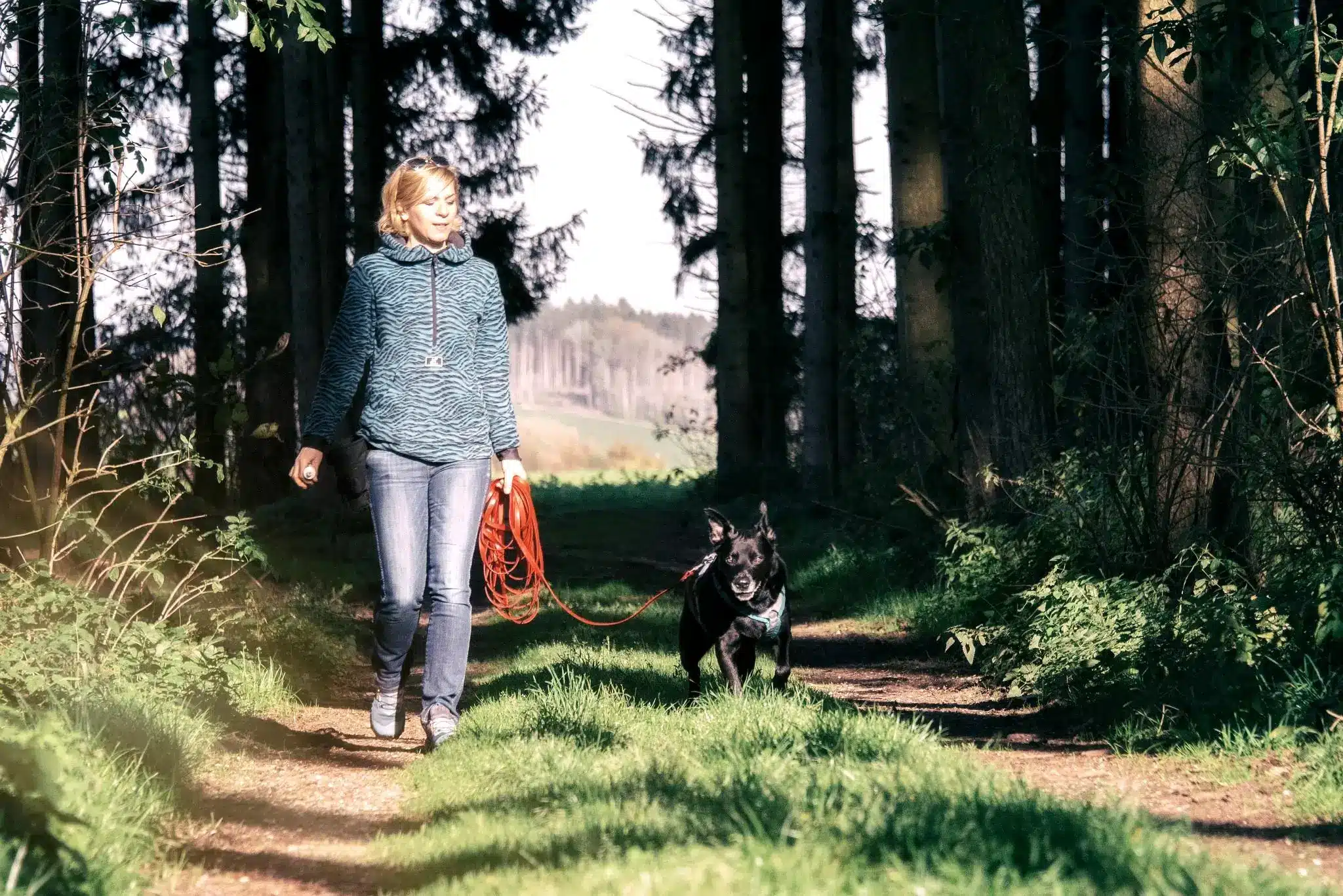Gemeinsamer Spaziergang im Wald Daniela Loibl und Hund Happy, der auf einem Baumstamm steht